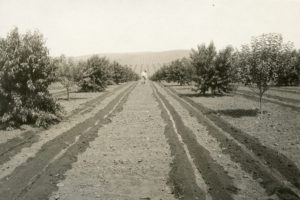 railroad, train depot, new meadows, Heigho